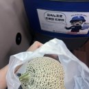 동골농장 이미지