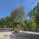 포레스트 캠핑장 | 포천 딥포레스트 캠핑장 후기 - 숲속 감성 캠핑 제대로 즐기고 온 솔직 리뷰