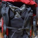 테라디자인 이미지