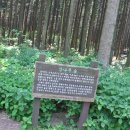 치유, 명상의 숲 이미지