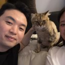 마피아떡볶이제주 | Bye 2025, Hello 2026
