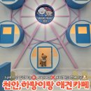 하랑이랑 | 천안신방동 하랑이랑 애견카페 방문 전 필독