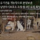 양축농장 이미지