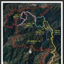 산마루 9월 원정산행 - 인제 원대리 자작나무숲길 : 2017년 9월 17일[일요일] 이미지