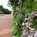 청사포로 이미지