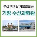기장수산 이미지