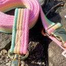 포리하우스 이미지