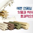 케어마루펫