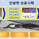 댕댕러브펫 이미지