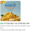 빕스 생망고 페스티벌 현대가든파이브점 솔직후기 | 축제기간 주말 예약 할인 가격 꿀팁