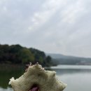 찐빵브라더스 이미지