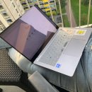 파자마독 | 삐딱선 어디서 타야 하나여?