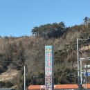 홍성 남당항 2026새조개축제, 가격 찐 솔직후기