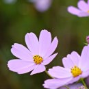 강가에아침 이미지