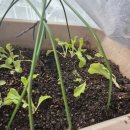 신흥마트(신흥유통) | [26.01.05~11] 2주만에 돌아온 백수 일상^^