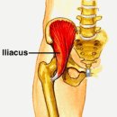준피티샵 이미지