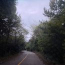 옥경이펜션 이미지