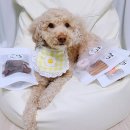 낼름멍푸드 이미지