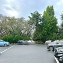 브라운도트 경주보문점 이미지