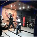 레드윙 복싱 이미지