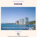 댕댕이와 냥냥이 울산장현점 | 카시아 속초 후기 숨겨진 꿀팁 대방출 속초 추천 숙소