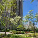 창원용지아이파크강남부동산중개사무소 | 용호동용지아이파크, 용호동아파트 직접 걸어본 리얼 동선 후기