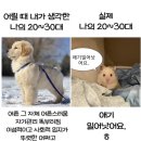 화정종로약국 | 3월 기록