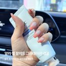 네일팔레트 - 안산시 단원구 | 알리 젤 네일팔레트 셀프네일 후기, 네일 재료 추천 그라데이션 팔레트 젤