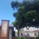 혼디 민박 이미지