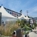 돈까스회관 파주교하점 | 파주 운정(교하) 수라한식뷔페 가성비 맛집 후기