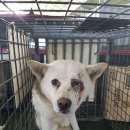 하북2길 이미지