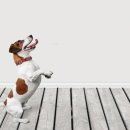 비바케어 이미지