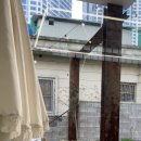 샘미용실 이미지