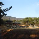 (유)대도건설 - 정읍시 | (유)대도건설