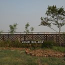 선린어린이집 이미지