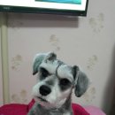 삼흥공구전기 이미지