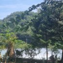 돌기와 토담집 이미지