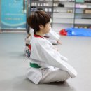 용인대 화랑 태권도장 이미지