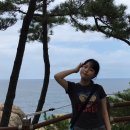 티나네강아지미용실 | Going up the Coast
