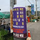 나이스치킨호프 | 보성 율포해수욕장 맛집 나이스치킨호프 순살 양념 간장 오뎅탕 식당