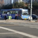 건양대네거리 이미지