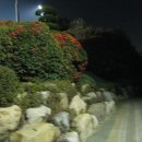한마음회관 Daum카페