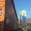 통나무오리 이미지