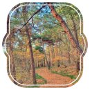 소소한 하루 민박 이미지