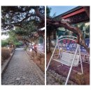 탑골가든 안성점 이미지