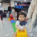 다한태권도장 이미지