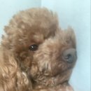 끼리끼리 이미지