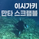 대한수중핀수영협회사 | 이시가키 만타포인트 <카비라 만타 스크램블> 투어 신청없이 직접 수영해서 만타보기