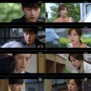 포레스트 이미지