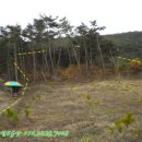 덕산양계 이미지